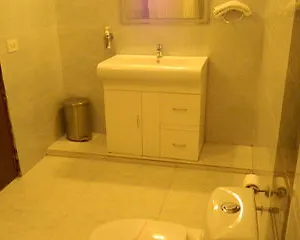 4* Hotel Shyama International